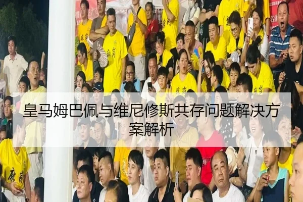 皇马姆巴佩与维尼修斯共存问题解决方案解析